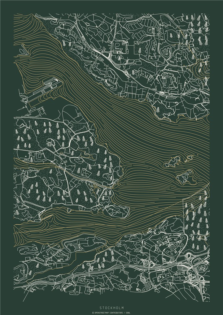 Stockholm map with white streets and botanical details on forest green paper